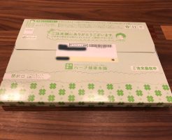 シボヘール到着