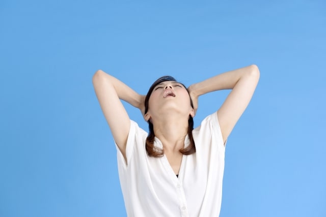 シボヘールで太った人
