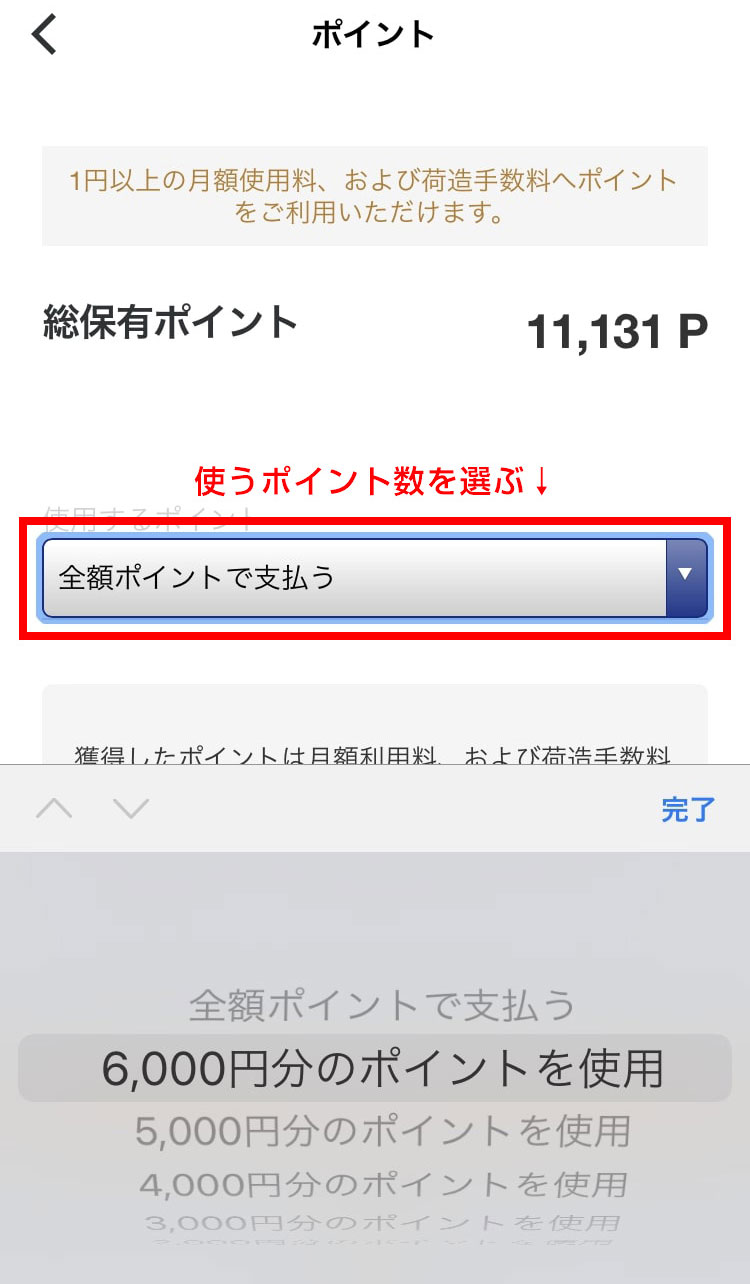 ラクサスアプリで使うポイントを決めて入力